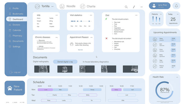 Light Interface Mockup Of Medical Software for Vet Clinic. Computer Program for Veterinary Doctors with Opened Patient Case of Pet Tutoise. X-Ray Scans, Symptoms. Template for PC and Laptop. 3D Render