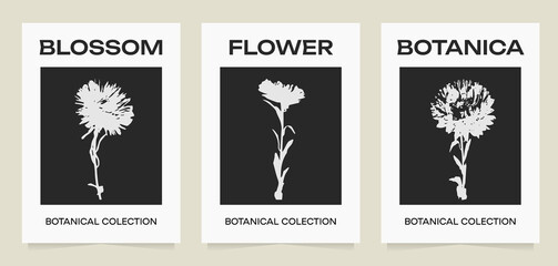 Abstract botanical silhouette art. Collection of aesthetic modern posters. White flowers on black backgroand. Vector minimalism illustration. For printing, wall decor, prints, postcard.
