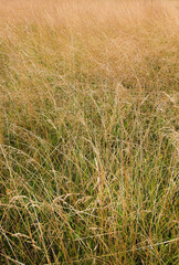 Thomas Stone National Historic Site/Haberdeventure in Maryland