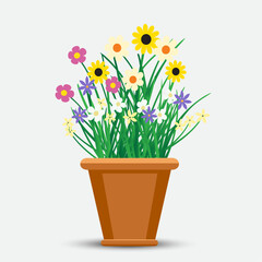 flowers grows in flowerpot on light background