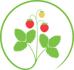 Wild strawberry logo. Isolated strawberry on white background