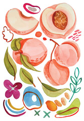 peach watercolor hand draw elements on isolated background