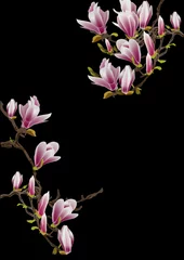 Foto op Canvas Des fleurs de magnolia qui s'ouvrent sur les branches de l'arbre sur un fond noir.  © Annabel