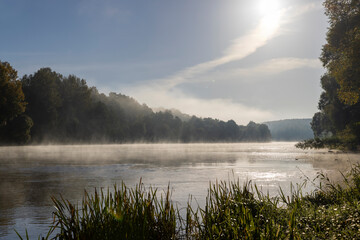 Fototapeta na wymiar Trees and fog in the morning in autumn