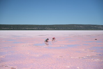 The children playing on the pink lake