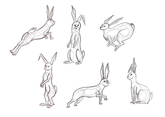 Rabbits in different poses illustration