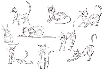 Cats in different poses illustration
