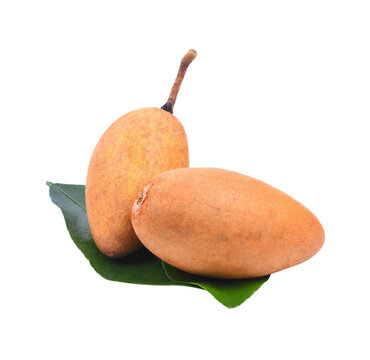 fresh sapote fruits isolated transparent png