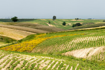 Unproductive farming in rugged fields 