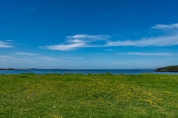 Obraz premium Views around Penrhos Beach and Nature reserve , Anglesey