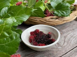 Red mulberry fruit and leaves