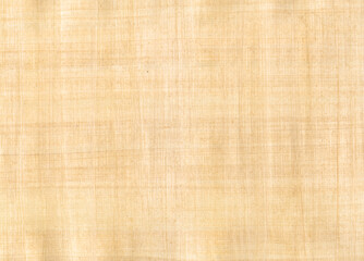 Old papyrus background texture