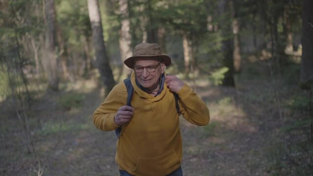 Senior hiker enjoys uniting with flora and fauna in deep forest illuminated by sunlight. Old man explores spring nature walking among trees
