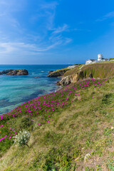 Naklejka premium Coast and beaches of the tourist village of Tapia de Casariego, in Asturias, Spain.