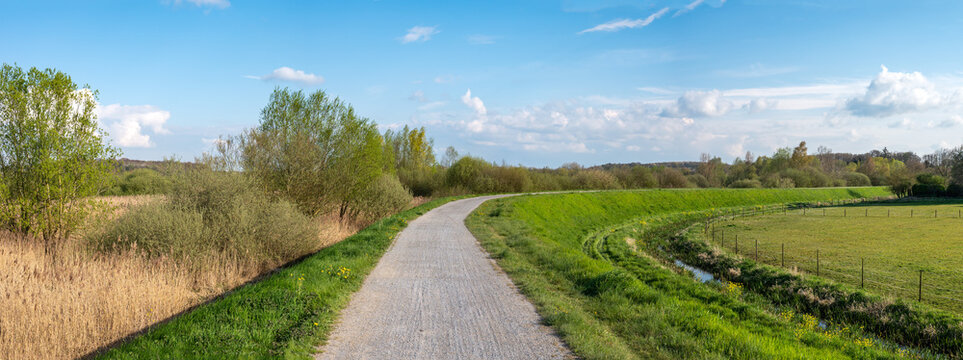 Cycling path through the green and yellow fieldsaround Diest, Flemish Brabant, Belgium