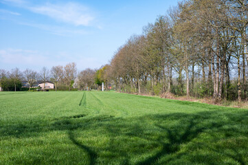 Agriculture fields and green meadows in Meerhout, Belgium
