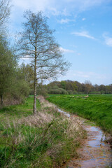 Obraz premium The Grote Nete river through green lawns around Westerlo, Belgium