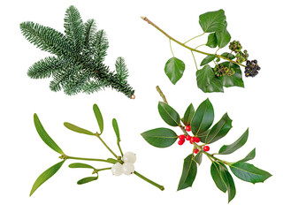 Christmas tree branch, mistletoe branch with white berries,Christmas holly branch and Ivy...