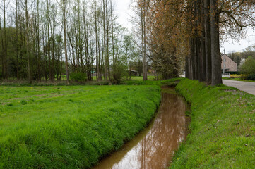 Creek through the green fields in the forst of Heidekant, Keerbergen, Belgium