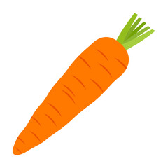 Carrot flat icon isolated on white background. Vegetable vector illustration.
