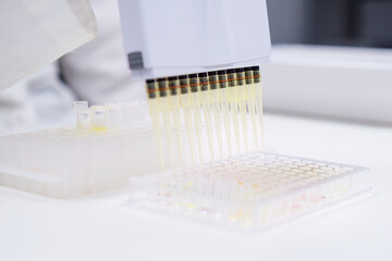 Scientist uses multichannel pipette dispenser to fill microplates for analytical research and...