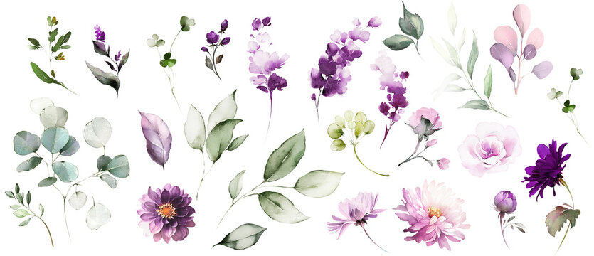 watercolor arrangements with flowers, set, bundle, bouquets with wildflowers, leaves, branches. Botanical illustration