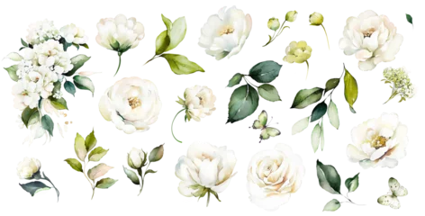 white watercolor arrangements with flowers, set, bundle, bouquets with wildflowers, leaves, branches. Botanical illustration © lisima