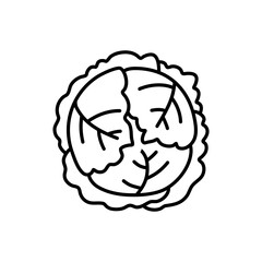 fresh cabbage doodle icon vector. vector hand drawn illustration of fresh cabbage vegetable, isolated outline clipart on white background