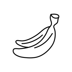 Banana vector illustration hand drawn. Linear drawing banana isolated on white background. Sketch for coloring booking page. Vector illustration