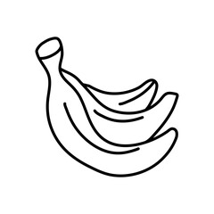 Banana vector illustration hand drawn. Linear drawing banana isolated on white background. Sketch for coloring booking page. Vector illustration