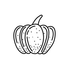 Outlined pumpkin, pumpkin doodles, pumpkin line art vector illustration.