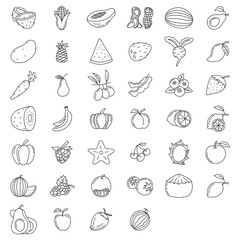 fruit element doodle set. fruit vector doodle illustration. Vegetarian healthy food, sketch of food for menu illustration