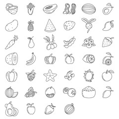 fruit element doodle set. fruit vector doodle illustration. Vegetarian healthy food, sketch of food for menu illustration
