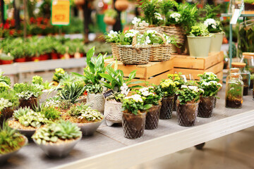Flower shop in Prague, Czech Republic