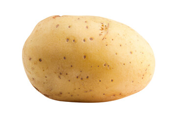 potato, isolated on white background, full depth of field