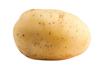 potato, isolated on white background, full depth of field