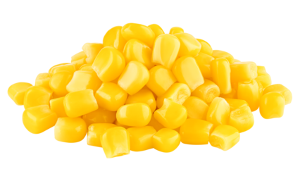 corn seed isolated on white background, full depth of field