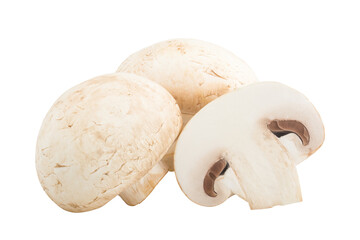 mushroom, champignon, isolated on white background, full depth of field