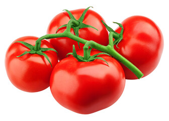 tomato isolated on white background, full depth of field
