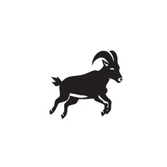 black and white goat