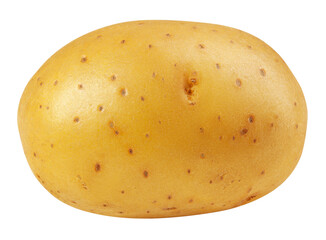 potato, isolated on white background, full depth of field