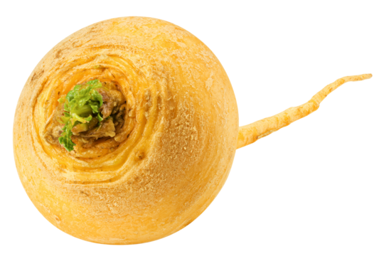 yellow turnip, isolated on white background, full depth of field