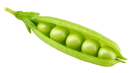 Pea, isolated on white background, full depth of field
