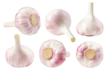 garlic, isolated on white background, full depth of field