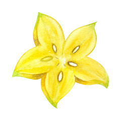 Fototapeta premium Slice carambola yellow exotic wild star fruit. Hand drawn watercolor illustration isolated on white background. Design element for bar, restaurant menu, recipes, logo