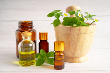 Alternative medicine herbal organic capsule with vitamin E omega 3 fish oil, mineral, drug with herbs leaf natural supplements for healthy good life.