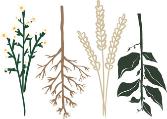 hand drawn illustration of decorative leafs and twigs