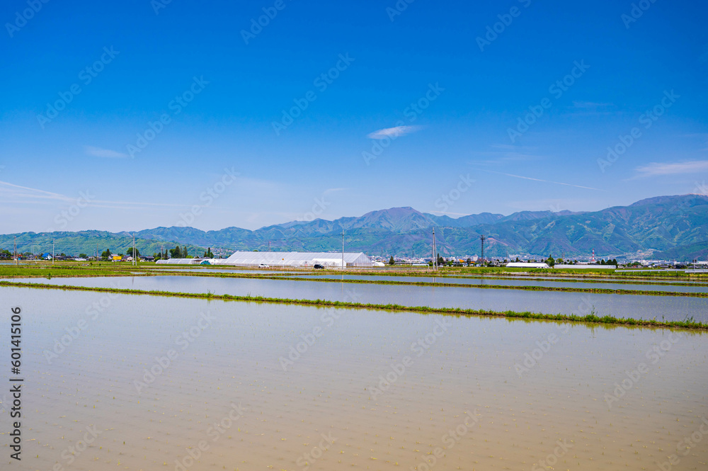 Poster 田植え前の田園風景　