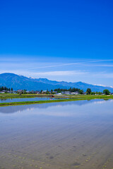 水を張った田んぼと山岳風景