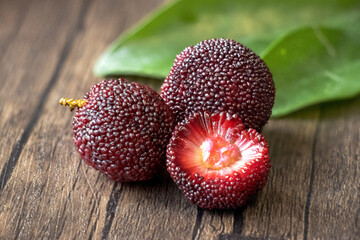 closeup of Chinese bayberry in summer
